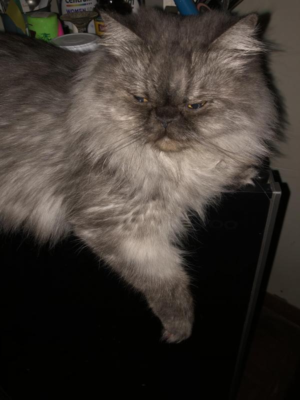 luzcas1106 uploaded   1 year/s ago