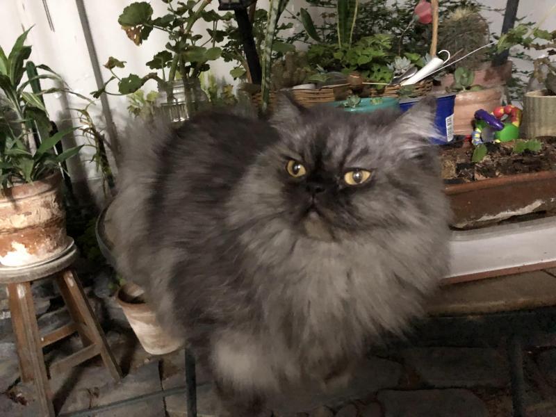 luzcas1106 uploaded   1 year/s ago