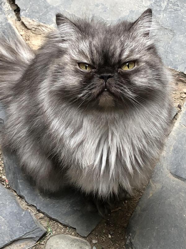 luzcas1106 uploaded   1 year/s ago