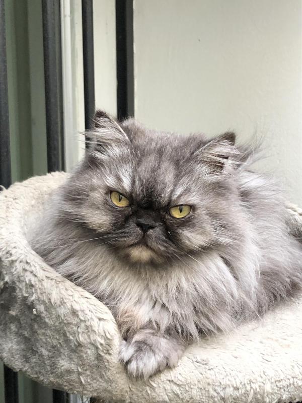 luzcas1106 uploaded   197  day/s  ago