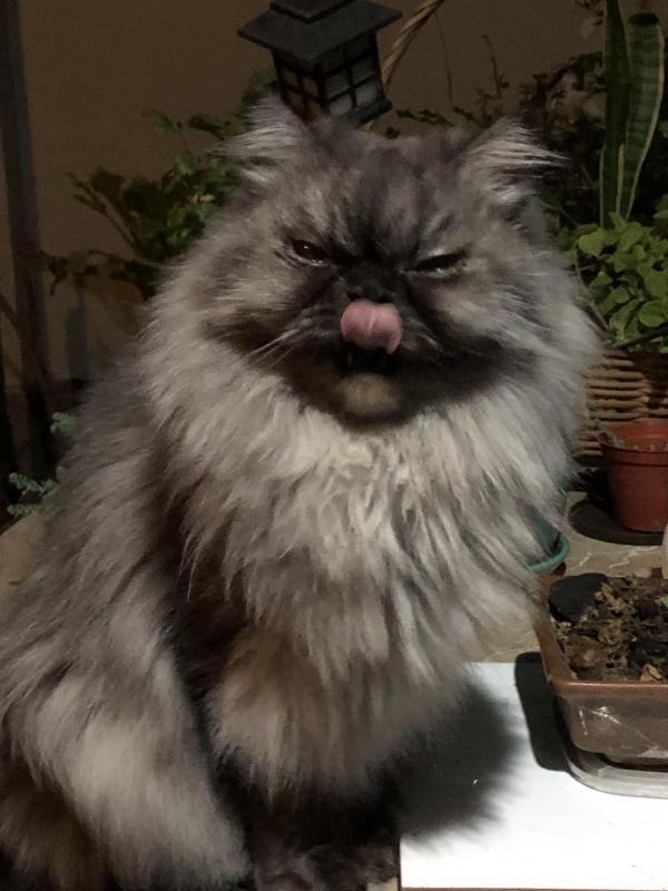 luzcas1106 uploaded   1 year/s ago