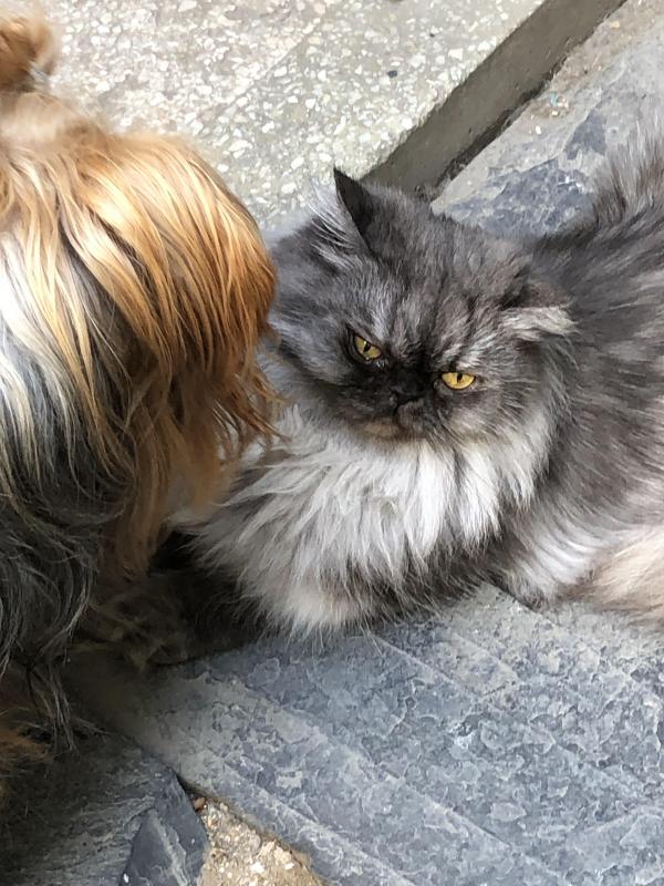 luzcas1106 uploaded   1 year/s ago