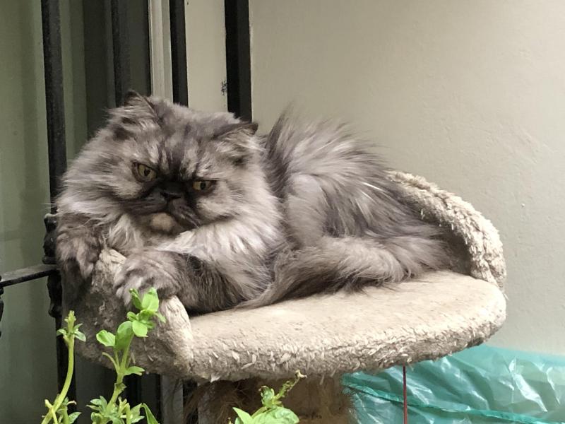 luzcas1106 uploaded   1 year/s ago