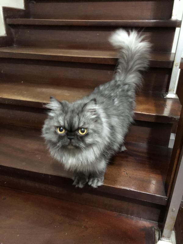 luzcas1106 uploaded   1 year/s ago