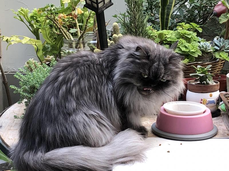 luzcas1106 uploaded   355  day/s  ago