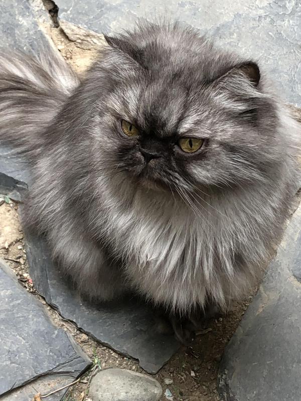 luzcas1106 uploaded   1 year/s ago