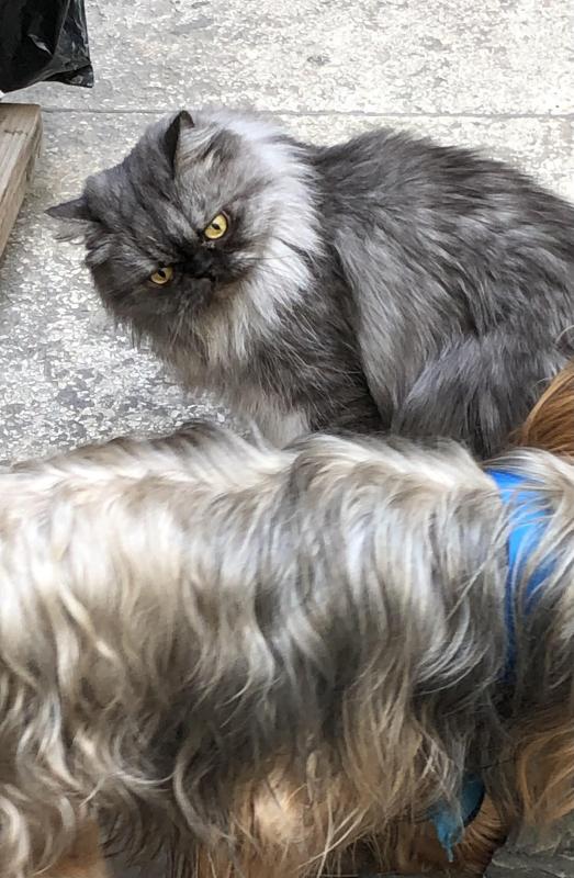 luzcas1106 uploaded   1 year/s ago