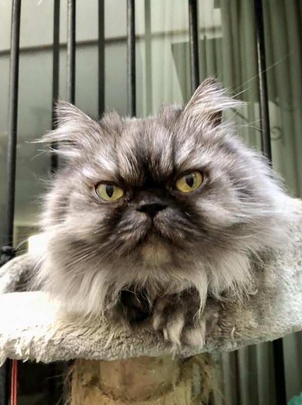 luzcas1106 uploaded   355  day/s  ago