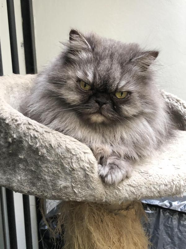 luzcas1106 uploaded   197  day/s  ago