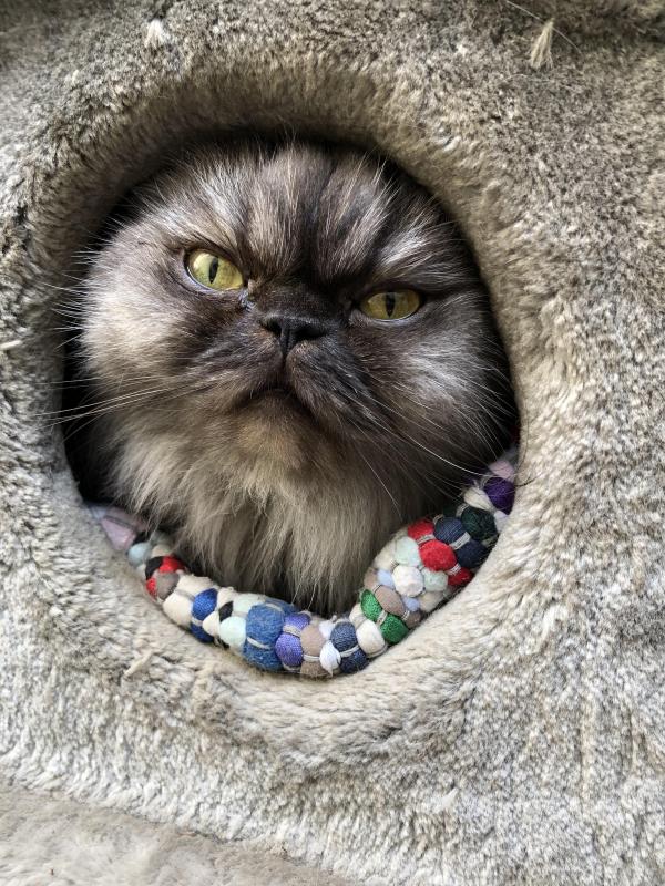 luzcas1106 uploaded   1 year/s ago