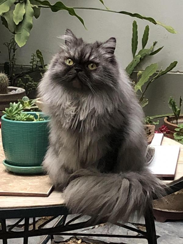 luzcas1106 uploaded   1 year/s ago