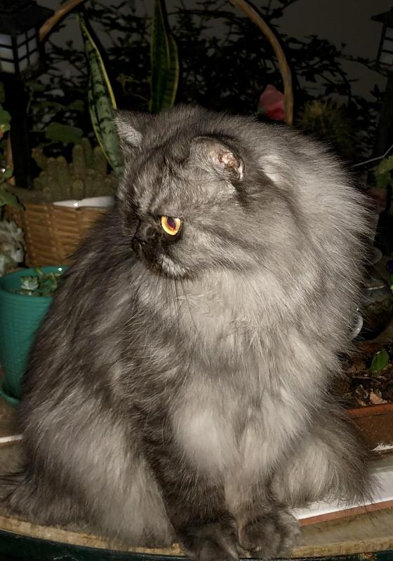 luzcas1106 uploaded   1 year/s ago