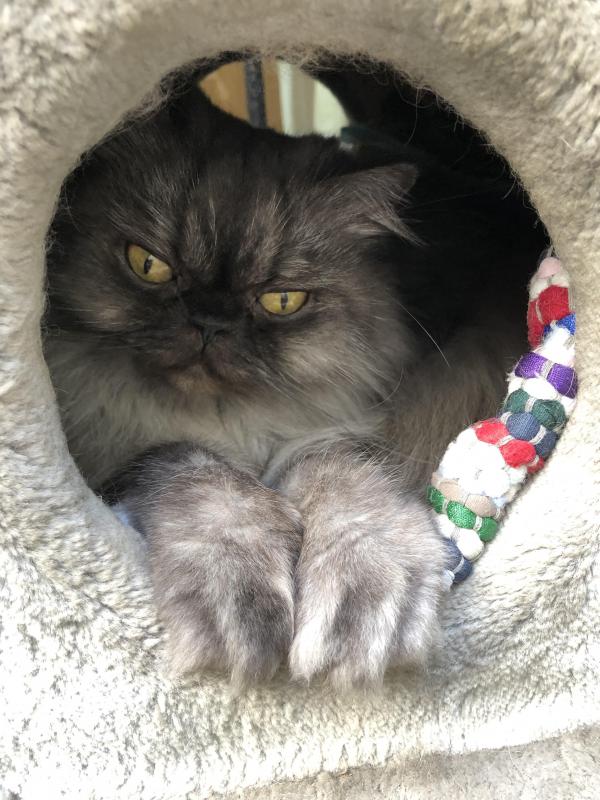 luzcas1106 uploaded   1 year/s ago