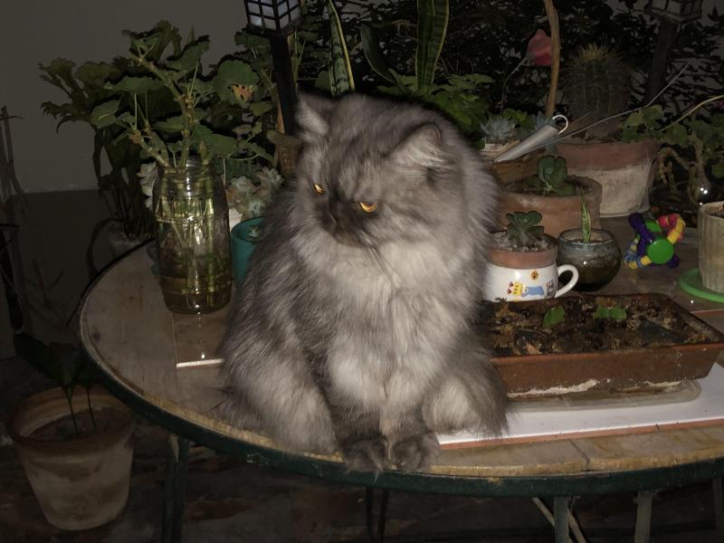 luzcas1106 uploaded   1 year/s ago