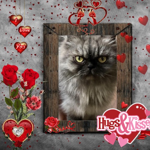 luzcas1106 uploaded   8  day/s  ago