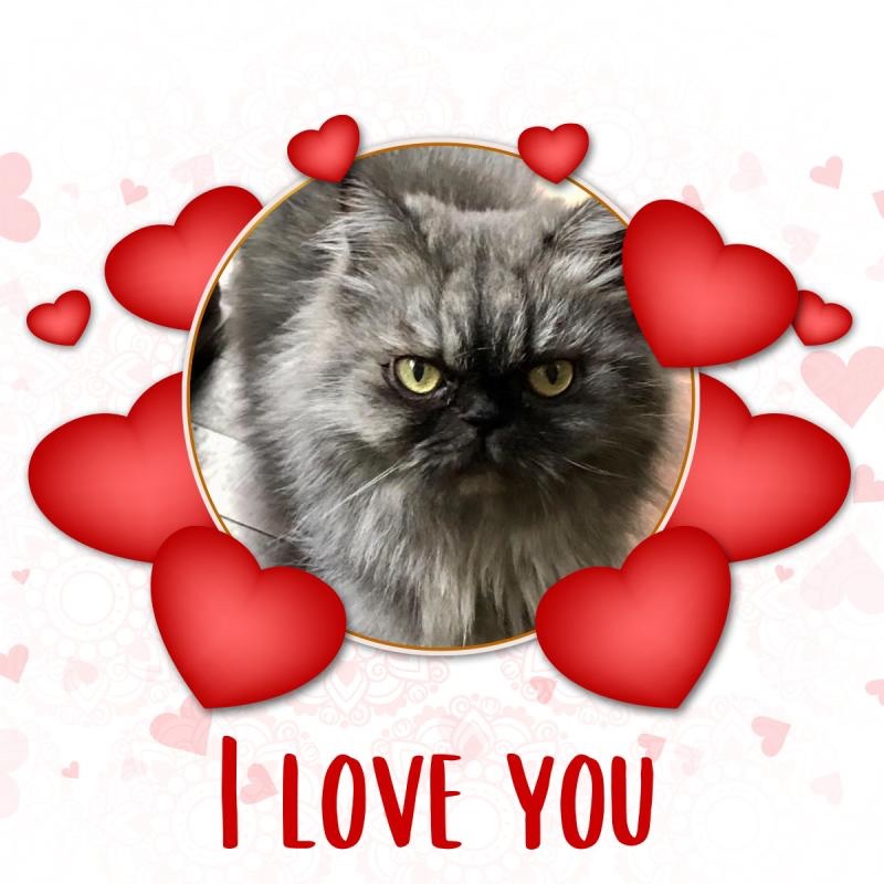 luzcas1106 uploaded   12  day/s  ago