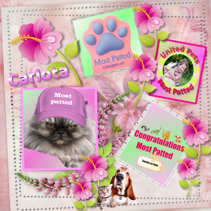 luzcas1106 uploaded   10  day/s  ago