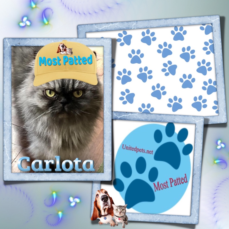 Carlota of the luzcas1106 family