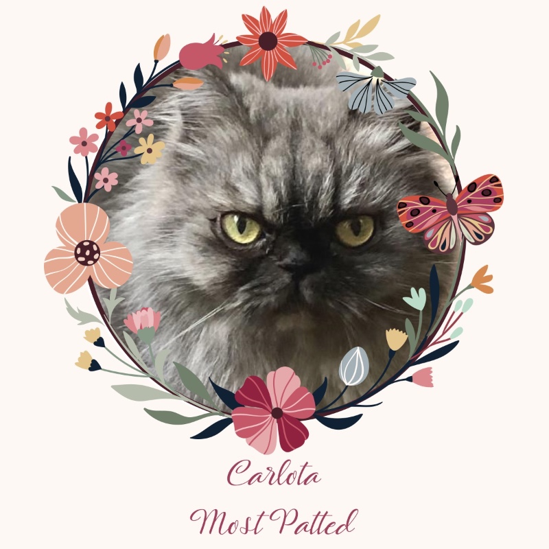 luzcas1106 uploaded   8  day/s  ago