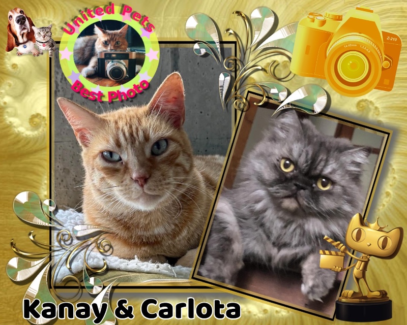 luzcas1106 uploaded   10  day/s  ago