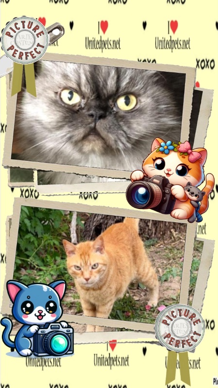 luzcas1106 uploaded   12  day/s  ago