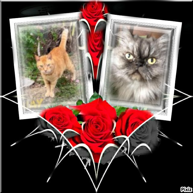 luzcas1106 uploaded   12  day/s  ago