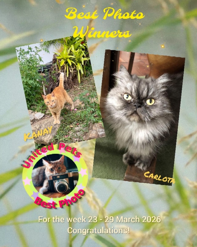 luzcas1106 uploaded   12  day/s  ago