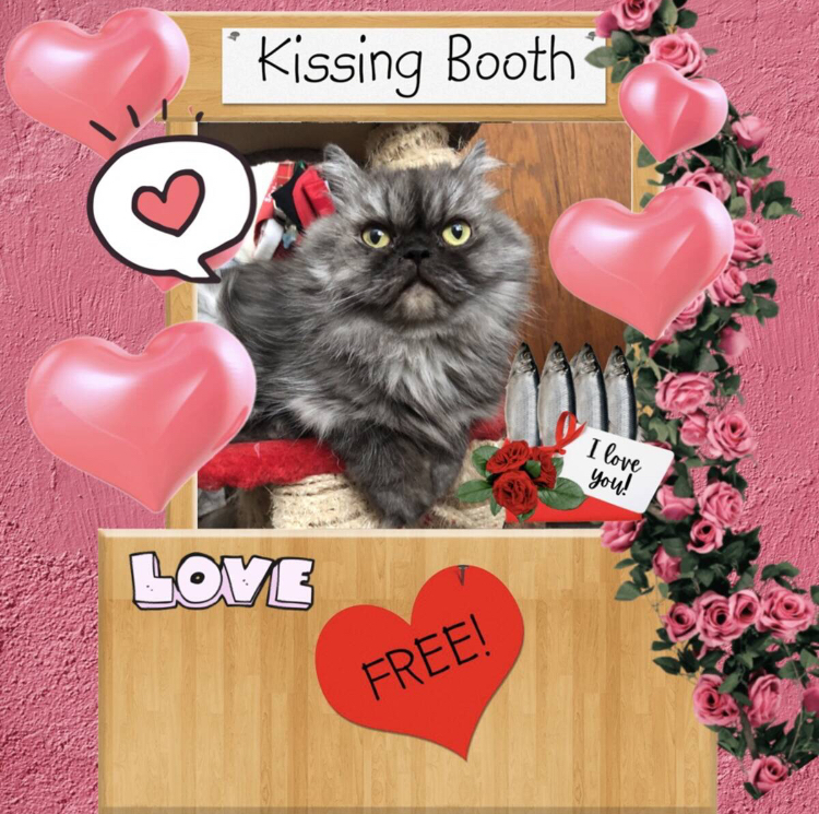 luzcas1106 uploaded   86  day/s  ago