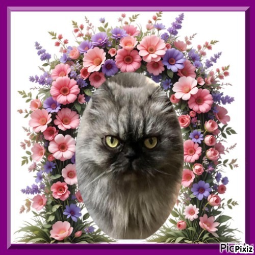 luzcas1106 uploaded   10  day/s  ago