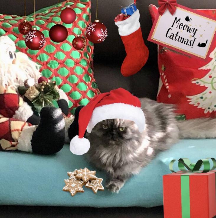 luzcas1106 uploaded   129  day/s  ago