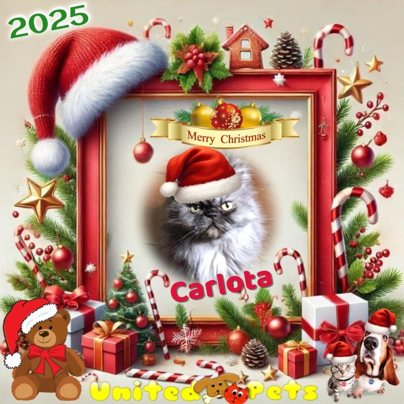 Carlota of the luzcas1106 family