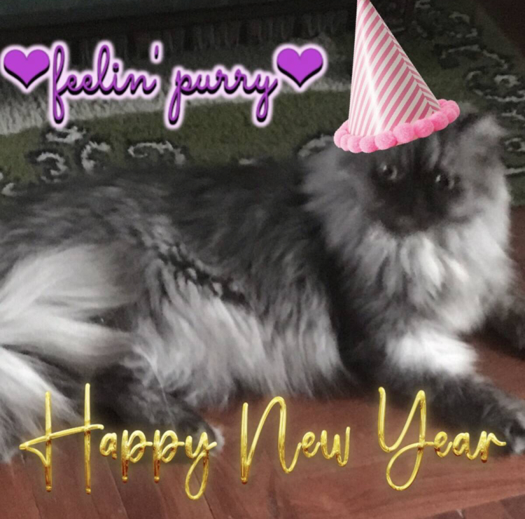 Carlota of the luzcas1106 family