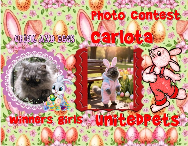 Carlota of the luzcas1106 family