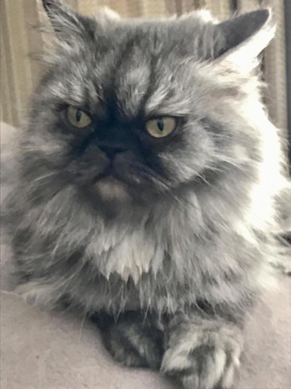 luzcas1106 uploaded   20  day/s  ago