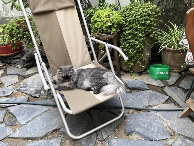 luzcas1106 uploaded   20  day/s  ago