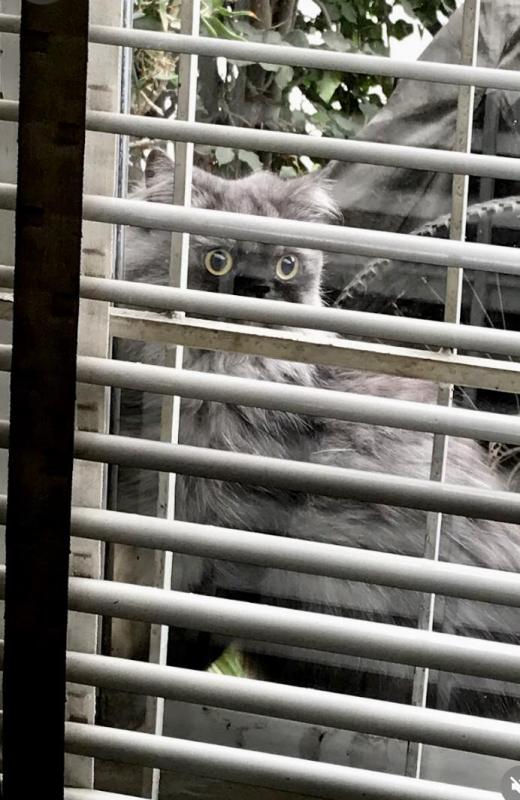 luzcas1106 uploaded   100  day/s  ago