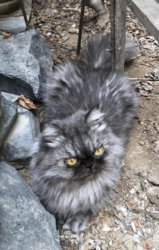 luzcas1106 uploaded   9  day/s  ago