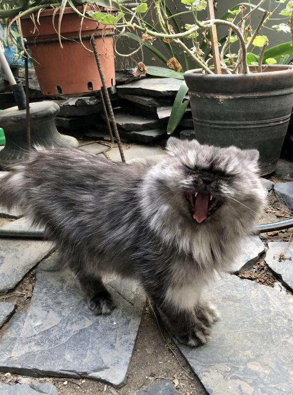 luzcas1106 uploaded   20  day/s  ago