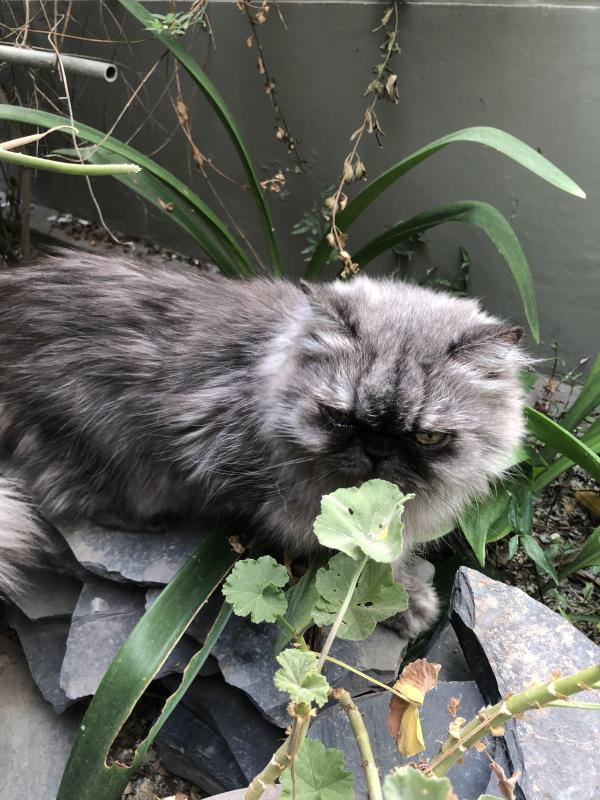 luzcas1106 uploaded   20  day/s  ago