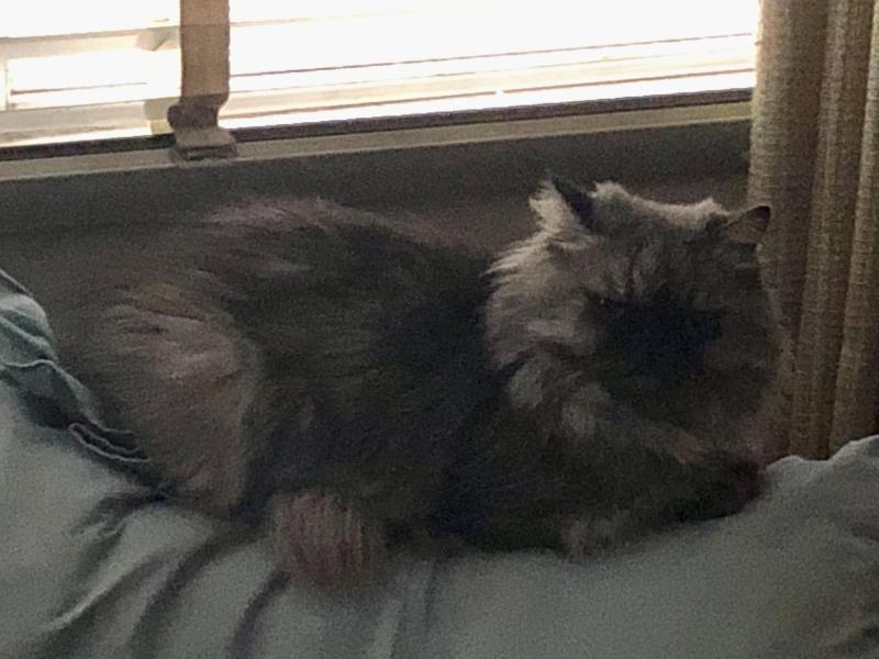 luzcas1106 uploaded   9  day/s  ago