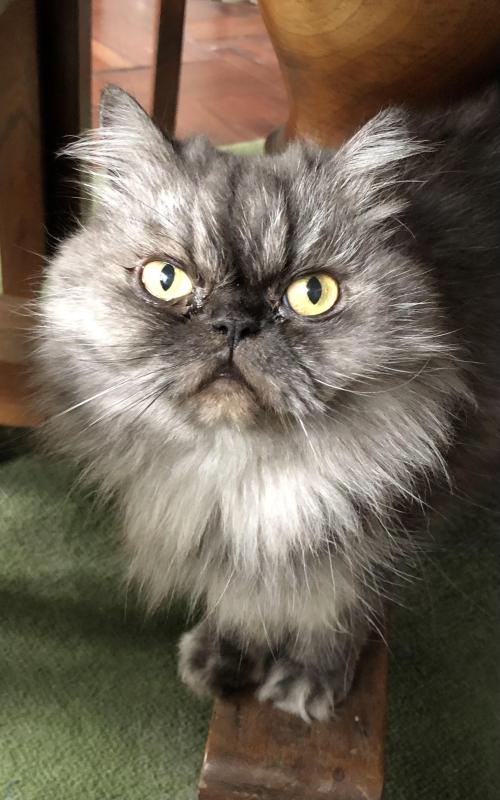 luzcas1106 uploaded   20  day/s  ago