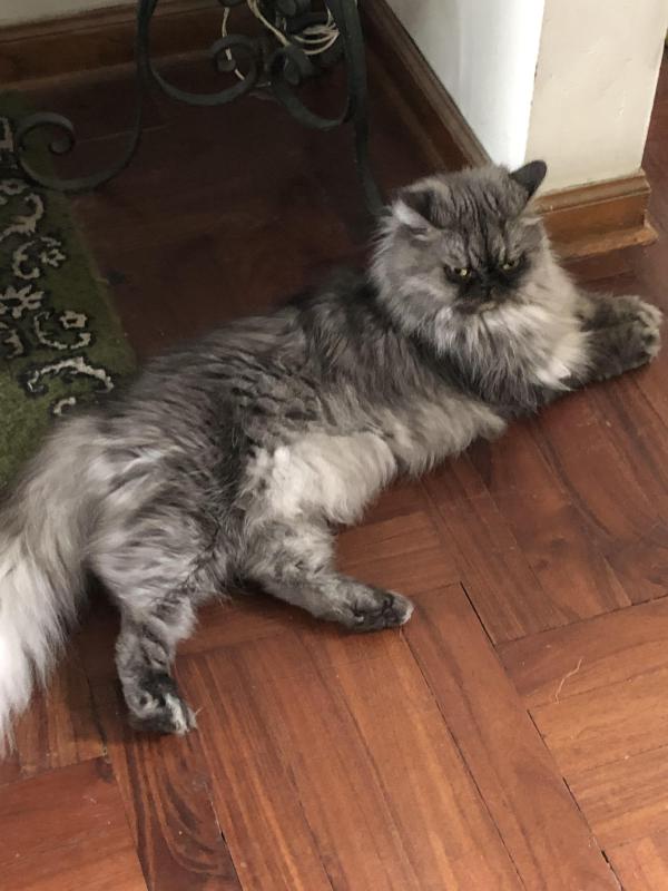 luzcas1106 uploaded   9  day/s  ago