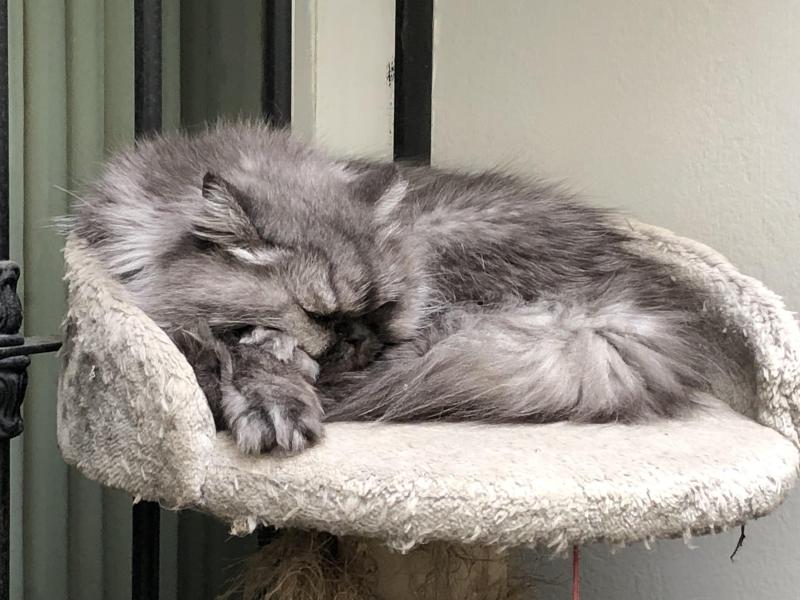 luzcas1106 uploaded   20  day/s  ago