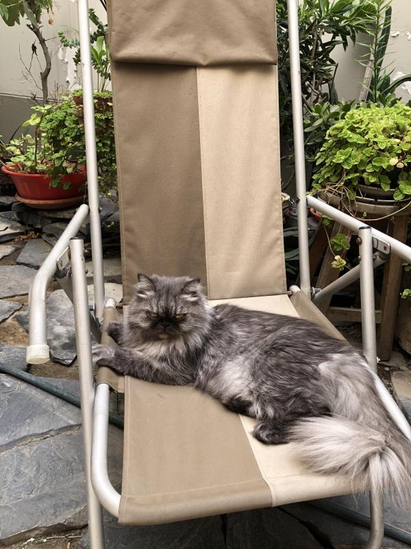 luzcas1106 uploaded   20  day/s  ago