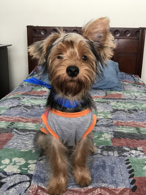 luzcas1106 uploaded   4 year/s ago