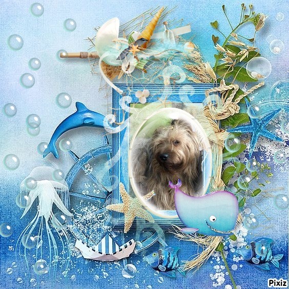 luzcas1106 uploaded   10  day/s  ago