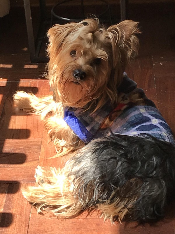 luzcas1106 uploaded   4 year/s ago