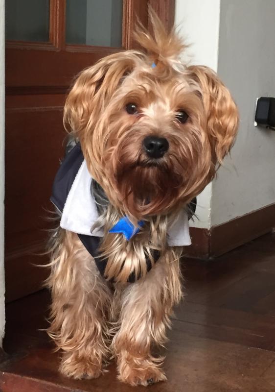 luzcas1106 uploaded   3 year/s ago