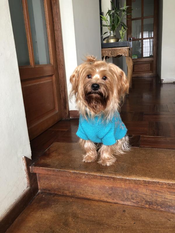 luzcas1106 uploaded   2 year/s ago