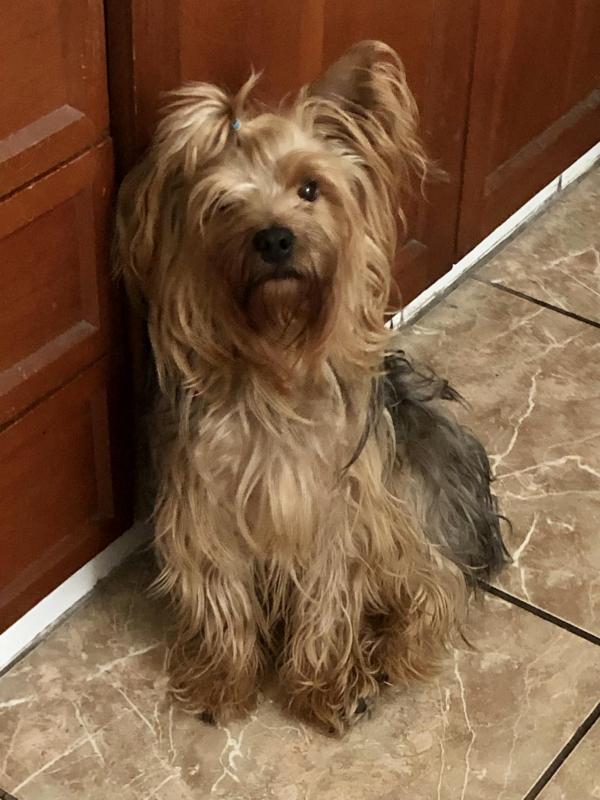 luzcas1106 uploaded   3 year/s ago